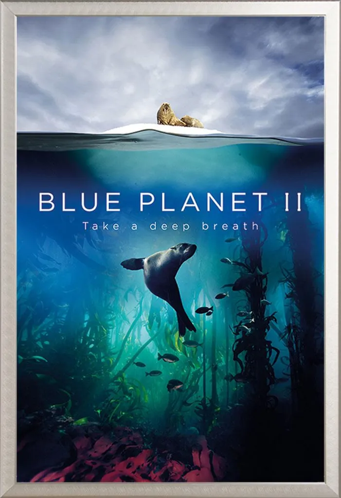 Poster XXL Blue Planet 2 Incorniciato | Alluminio Argento Shinsuke