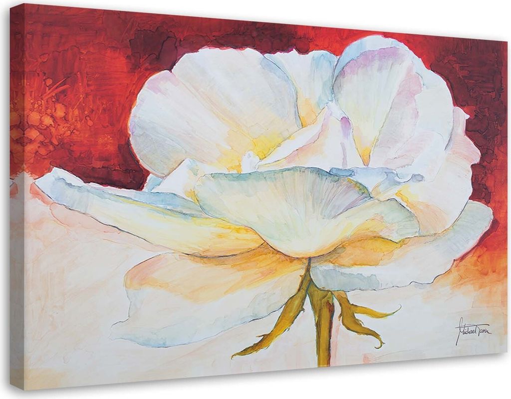 Leinwandbild weiße pfingstrose - blüte 100x70 cm Feeby farbe wandbild bereit zum aufhängen