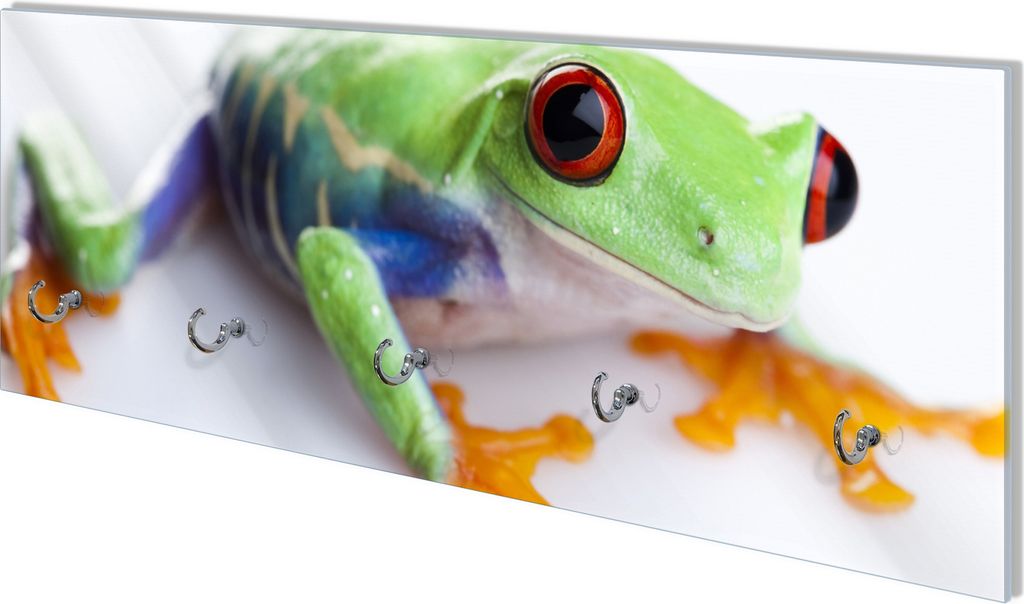 Wallario Flurgarderobe Wandgarderobe aus Glas, mit 5 Haken, Größe 80 x 30 cm, Motiv Lustiger Frosch in grün und orange