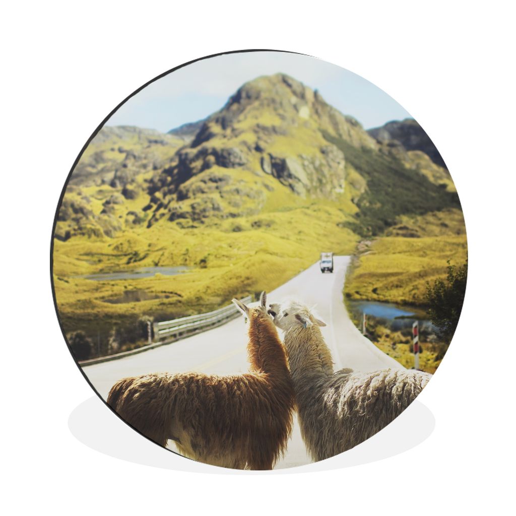 MuchoWow Aluminium Wandkreis Lama - Auto - Straße - Berg Ø 60 cm Wanddeko Modern Wohnzimmer - Wand Kreis - Wandbild - Schlafzimmer - Aluminium ...