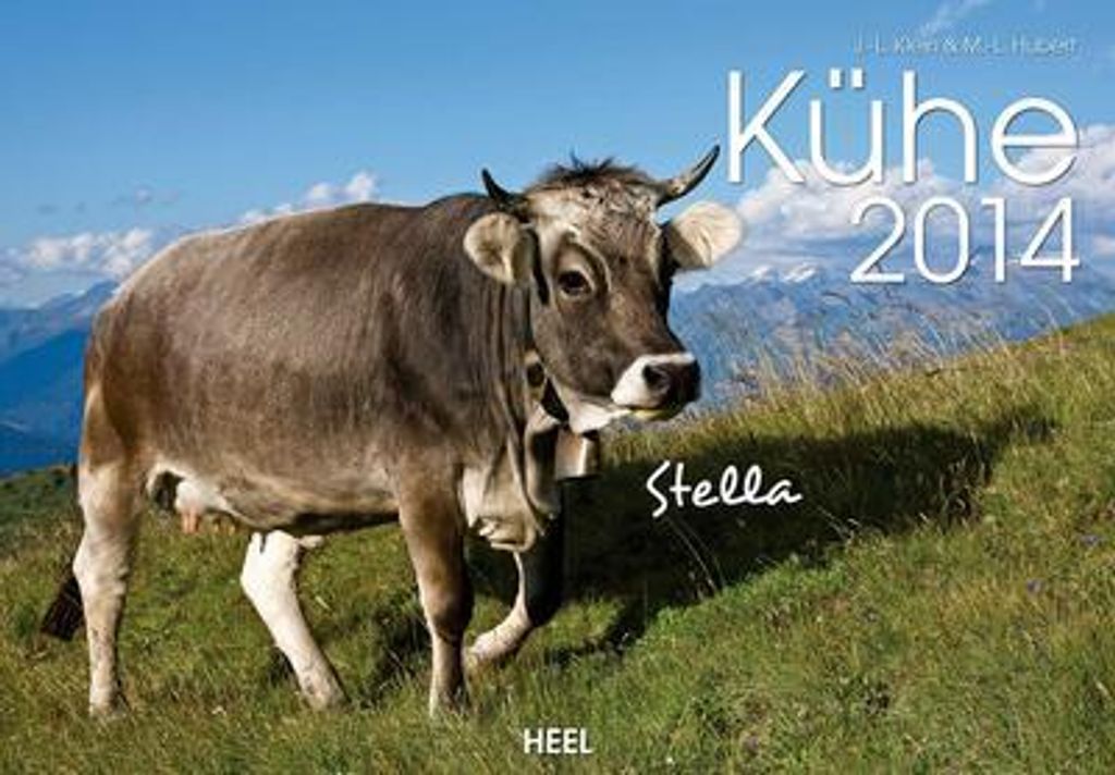 Kühe 2014