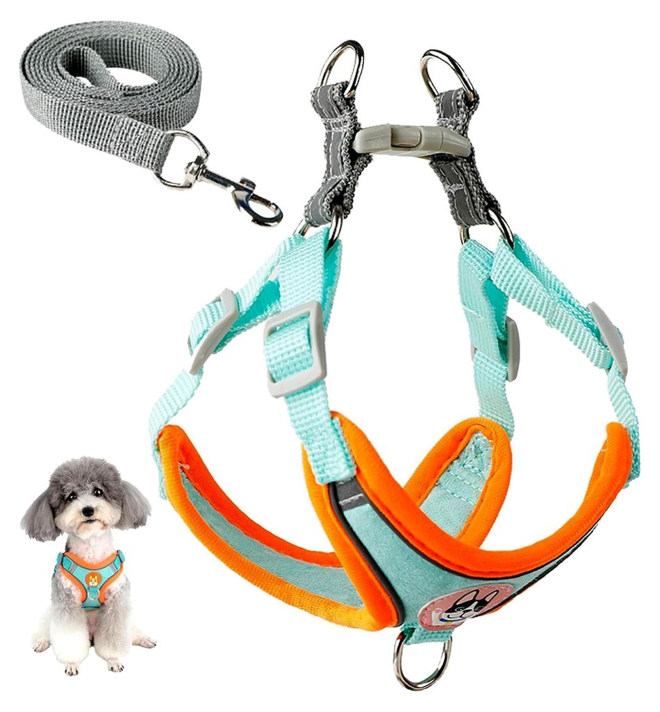 Hundegeschirr und Leinen-Set, Verstellbares Geschirr für Hunde mit Weicher, Atmungsaktiver Polsterung, Step-in Brustgeschirr für kleine und mitte...