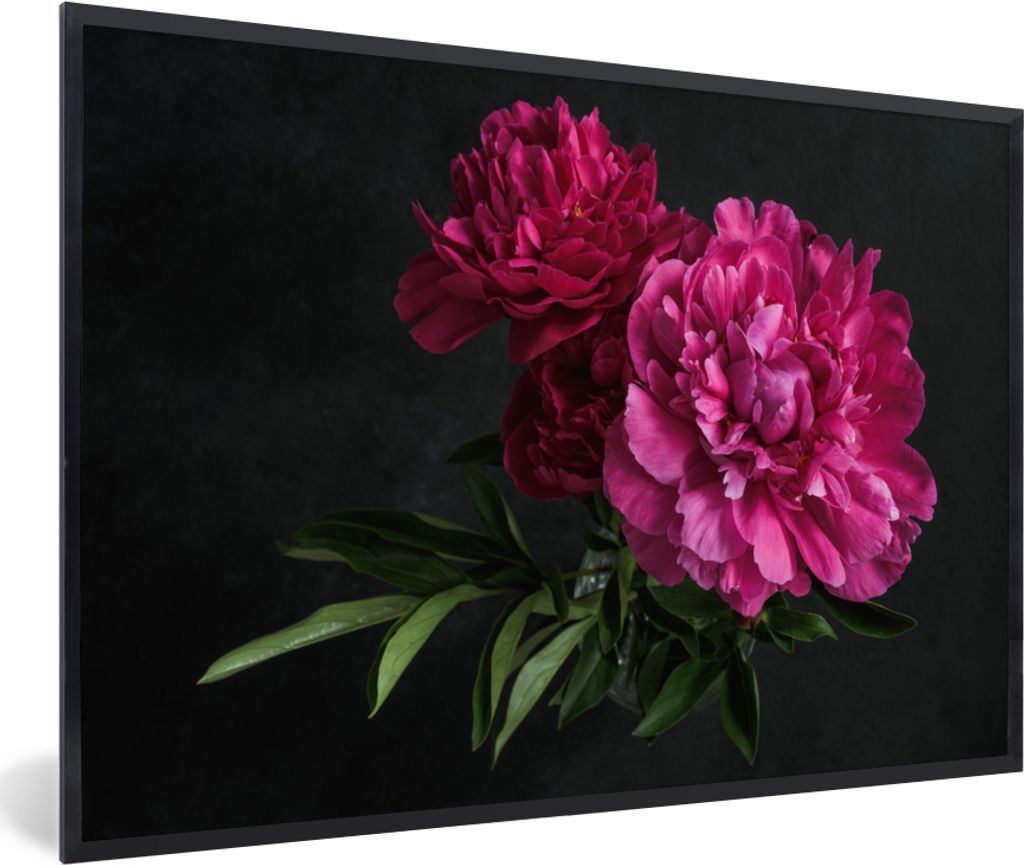 MuchoWow Gerahmtes Poster Pfingstrosen - Stillleben - Rosa 30x20 cm - Poster mit Schwarzem Bilderrahmen Wandposter Rahmen Foto Bilder - Kunstdruc...
