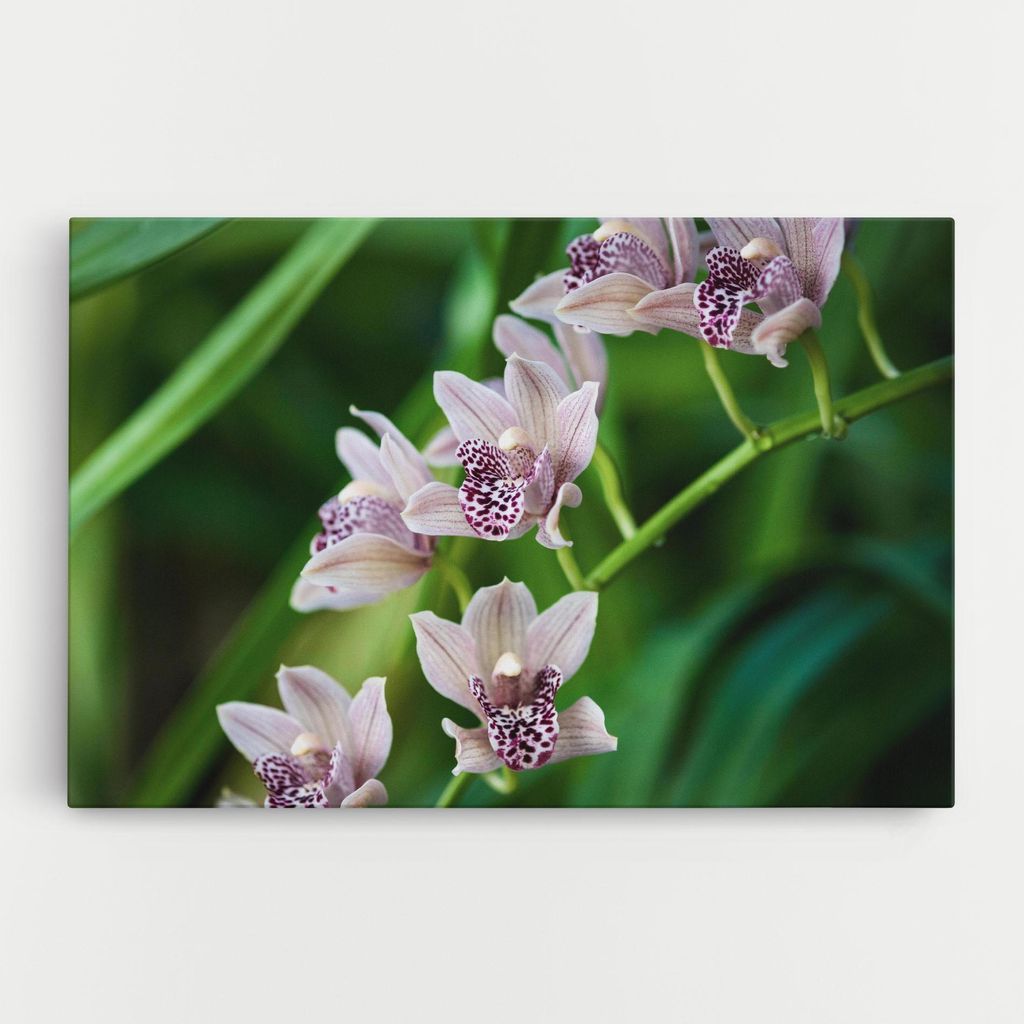 ARTHUB Leinwandbild 80x120 cm, Cymbidium Orchid | Wohnzimmerdekoration, Hängende Bilder, Wanddekoration, Heimdekoration, Blumen, Blumen in der N...