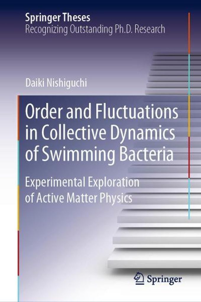 Order and Fluctuations in Collective Dynamics of Swimming Bacteria