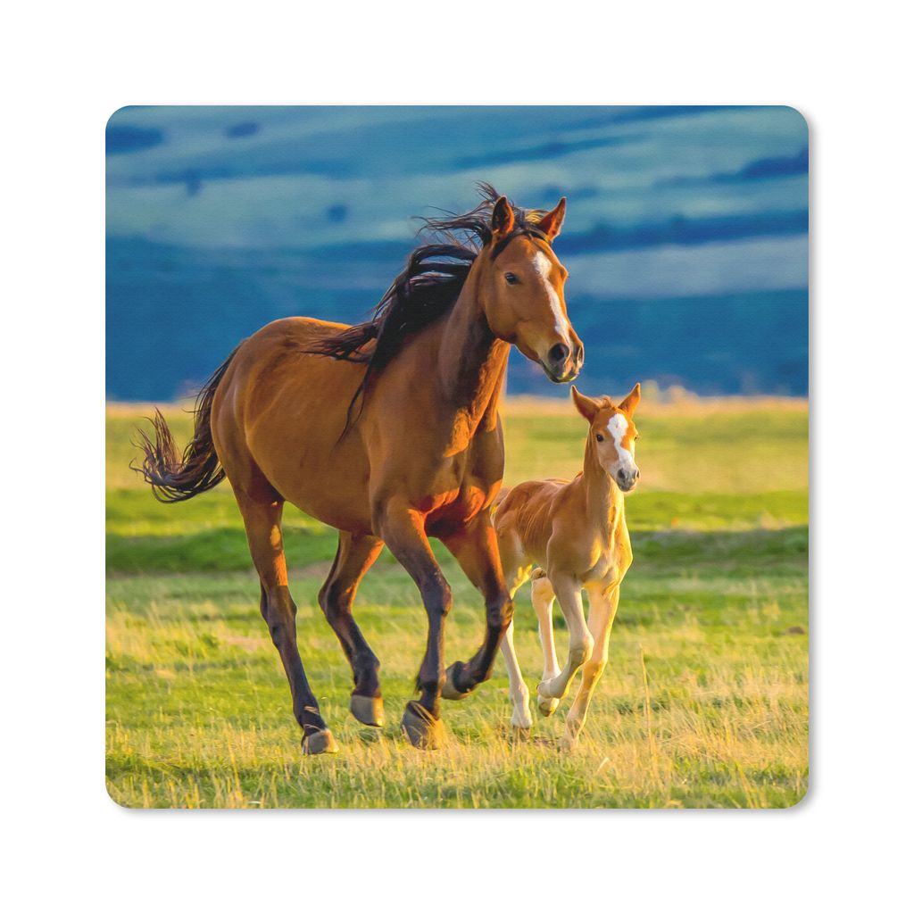 MuchoWow Mauspad Mousepad Pferde - Gras - Tiere - Landschaft - Natur 30x30 cm - Mousepads - Maus Mat - Pad - Mausunterlage - Gaming