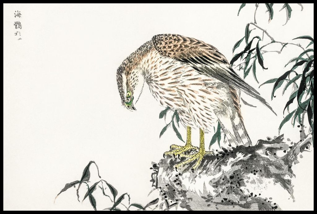 Plakat 91,5x61cm Osprey, Japanischer Vintage Kashu für das Wohnzimmer