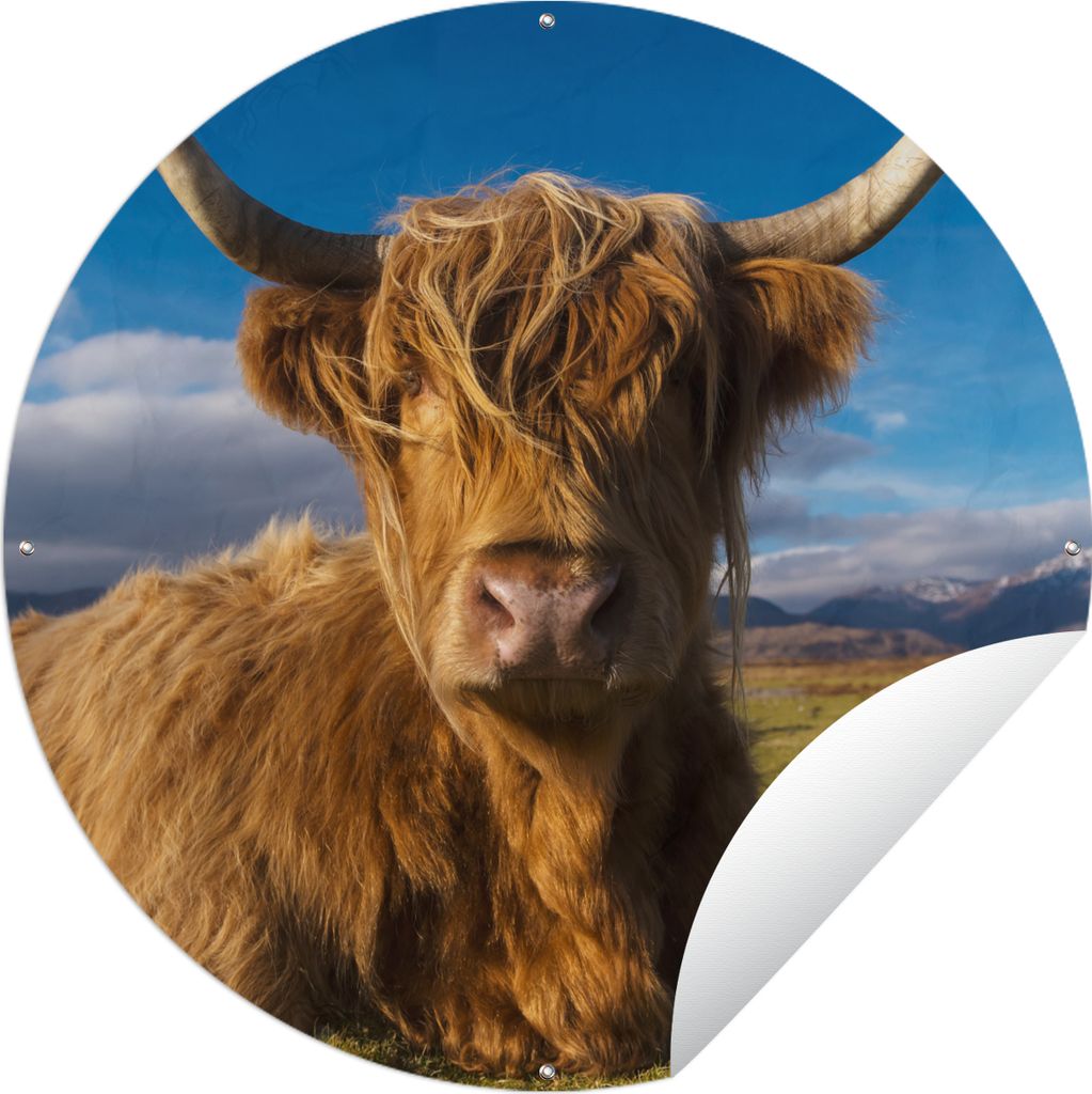 MuchoWow Gartenposter Outdoor-Poster Rund Schottische Highlander - Tiere - Gras Ø 90 cm Gartendeko Rundes Poster draußen