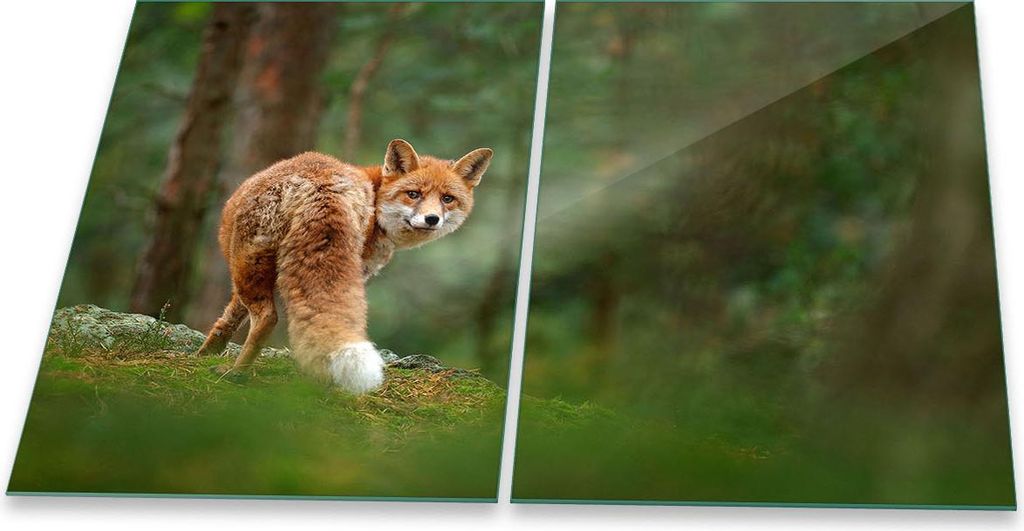 Herdabdeckplatte Glaskeramik 2-Teilig 2x40x52 Tiere Grün Abdeckung Spritzschutz Glas