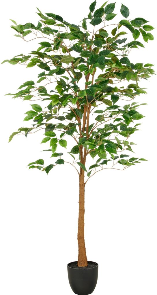 Kunstpflanze Ficus Benjamina H 150 cm