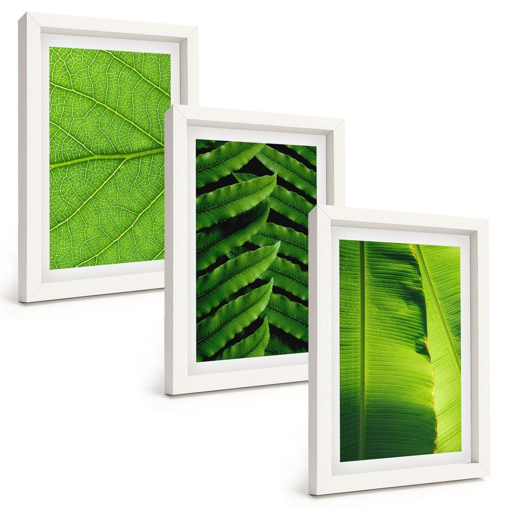 Bilder Set 3-teilig im weißen Rahmen – Wandbilder 3 Stück – gerahmte Poster für Wohnzimmer, Schlafzimmer und Flur – 20x30 cm – Makrofoto...