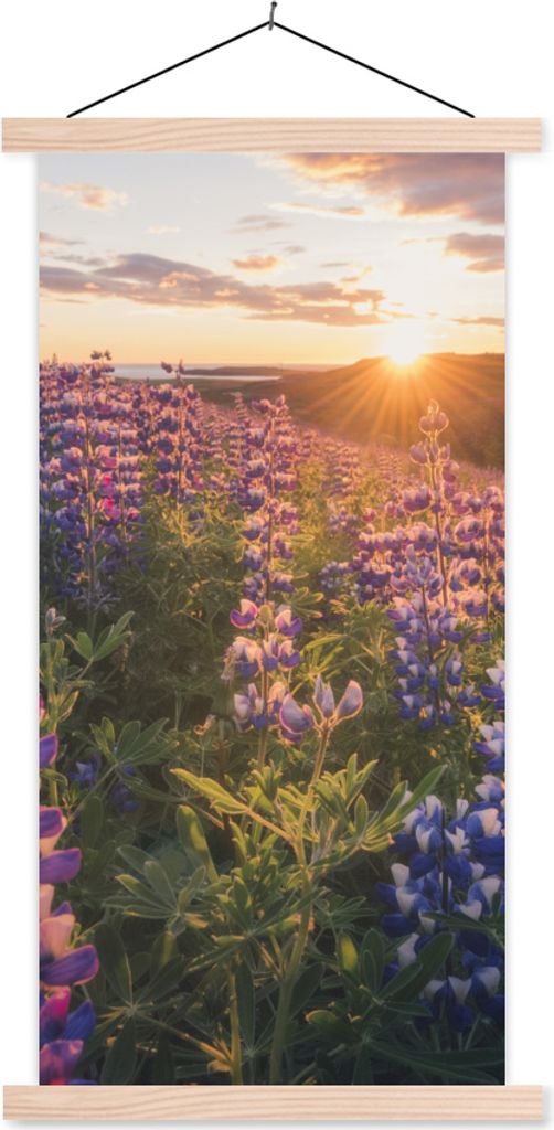 MuchoWow Textilposter Lupine - Sonne - Lila 60x120 cm mit holzfarbenen Rahmen - Holz