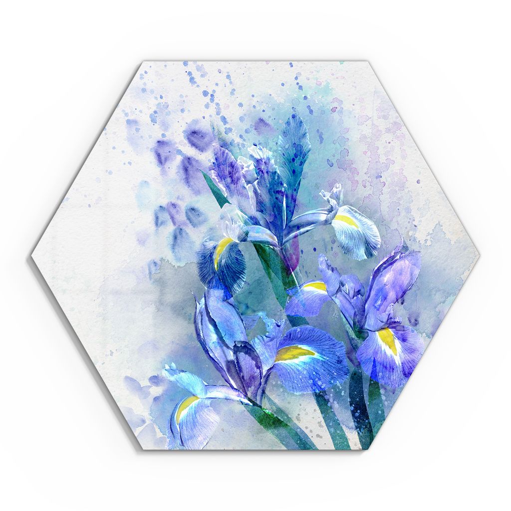 DEQORI Glasbild Echtglas 40x35 cm 'Blaue Iris Pracht' Wandbild Bild modern Deko