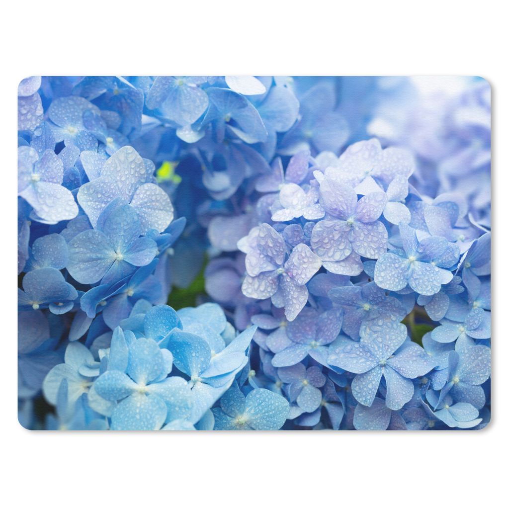 MuchoWow Mauspad Mousepad Hortensie - Wassertropfen - Floral - Botanisch - Blau 23x19 cm - Mousepads - Maus Mat - Pad - Mausunterlage - Schreibti...