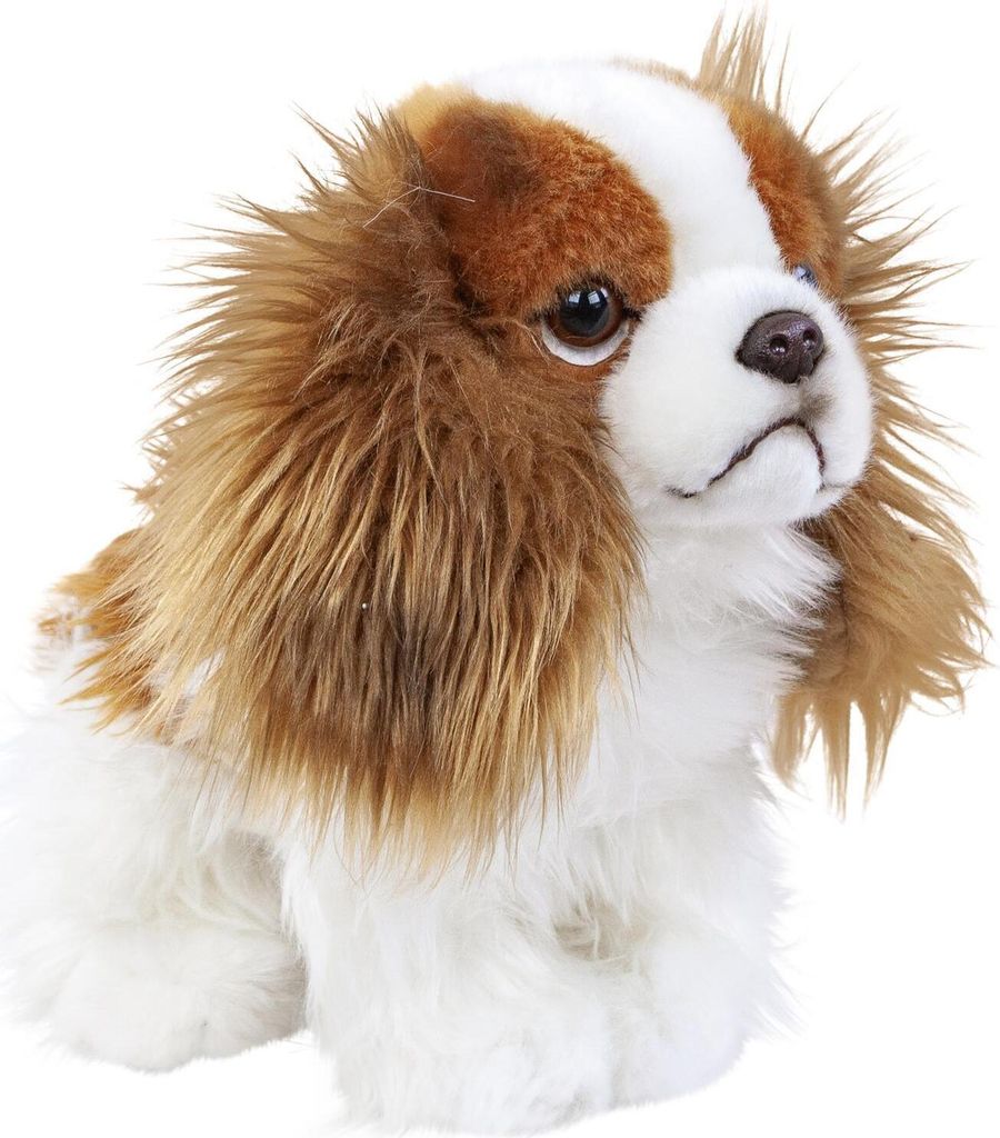 Plüschhund Cavalier King Charles Spaniel 25 cm Kuscheltier Produktbild 