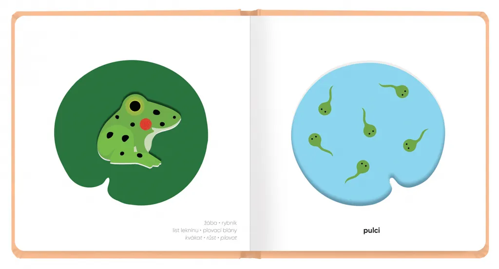 Livre bébé Moje mláďátka Klap klap idéal pour le développement