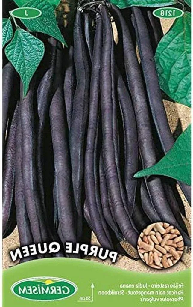 Lila Königin Oignons Violets 100g - Saveur Douce et Couleur Intense