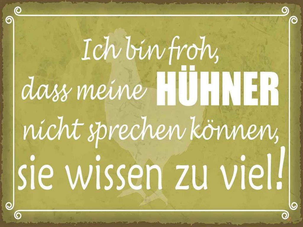vianmo Holzschild 30x40 cm froh meine Hühner nicht sprechen Produktbild 