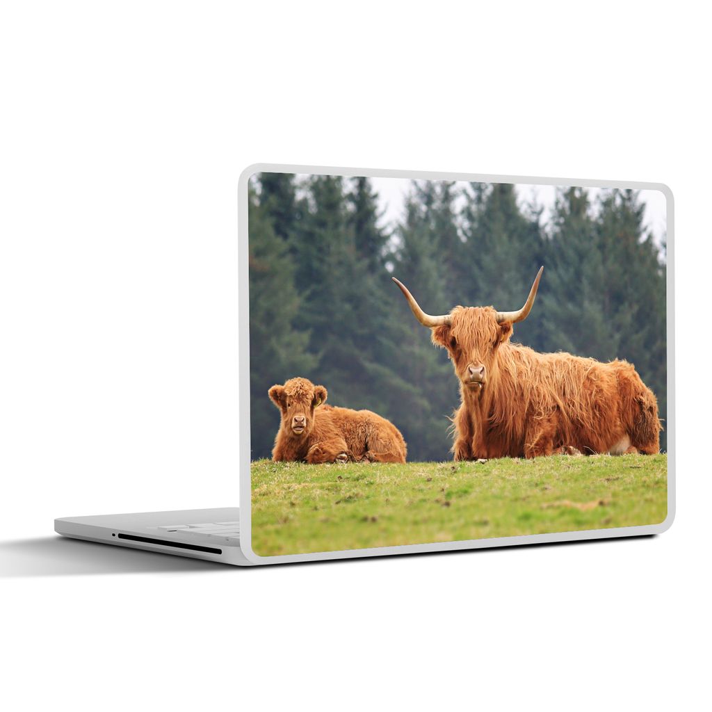 MuchoWow Laptop Aufkleber Sticker Cover Schottische Highlander - Gras - Wald 31x22.5 cm - Laptop-Deko