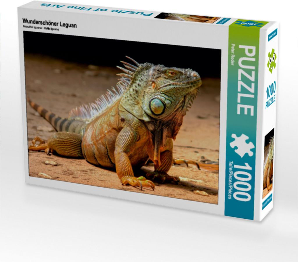 CALVENDO Puzzle Wunderschöner Leguan | 1000 Teile Lege-Größe 64x48cm Foto-Puzzle für glückliche Stunden