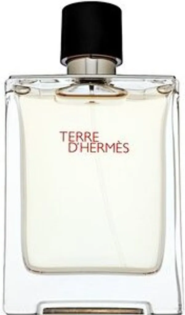 Parfum Terre d'Hermès 100 ml - Idéal pour le Bureau et les Soirées - 2