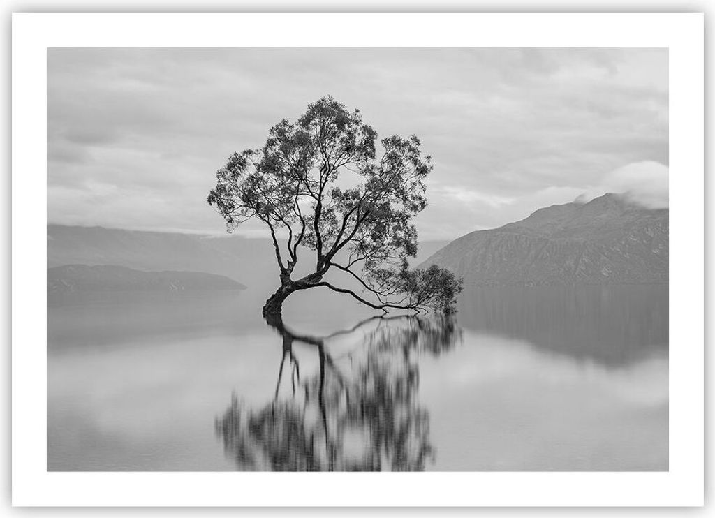Poster - Poster ohne Rahmen - Baum Symmetrie See - 70x50 cm - Wand Bild - Wanddeko - Wandbilder - Kunstposter - Wandposter - Bilder - Kunstdruck - ...
