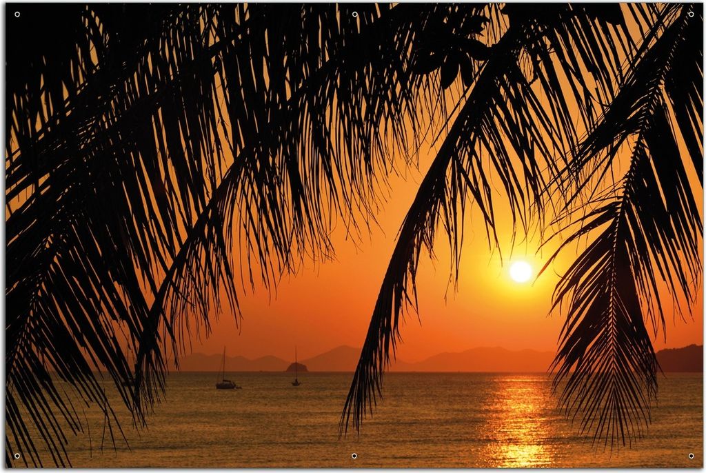 Wallario Outdoor-Poster für Garten oder Balkon, Motiv Sonnenuntergang unter Palmenblättern, in ca. 61 x 91,50 cm