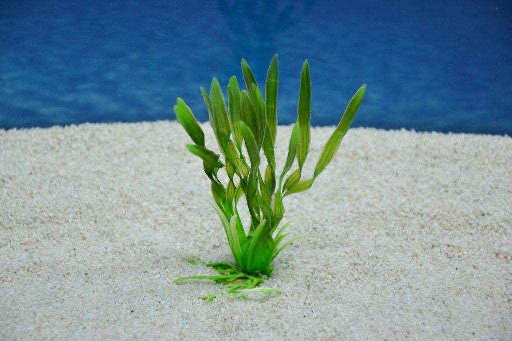 Amtra Valisneria S 10 cm – Künstliche Pflanze Aquarium Produktbild 