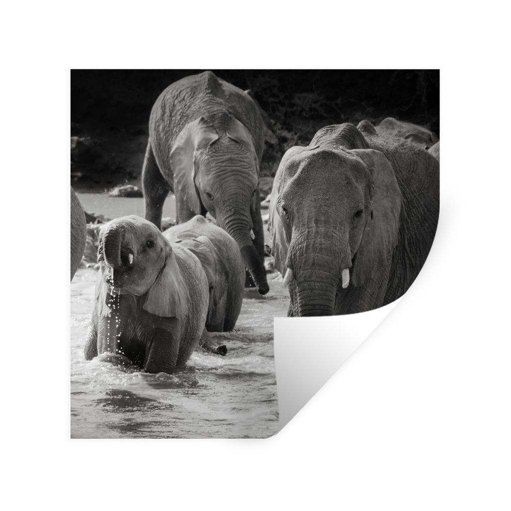 MuchoWow Wandtattoo Wandsticker Wandaufkleber Elefant - Tiere - Wasser - Schwarz und weiß 30x30 cm Selbstklebend und Repositionierbar - Repositi...