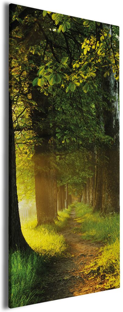 Wallario Premium Leinwandbild Allee bei Sonnenuntergang in Größe 50 x 125 cm