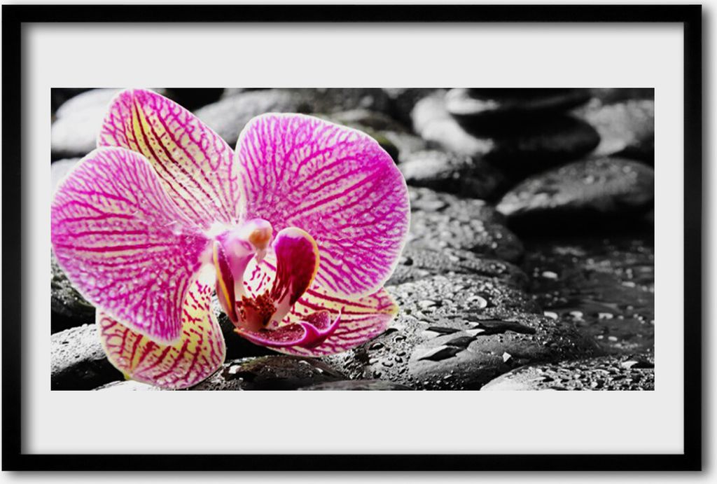 Bild 60x40 MDF-Rahmen Wandkunst Orchid Blume Steine
