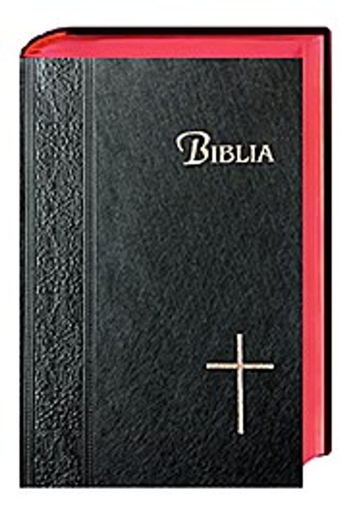 Bibelausgaben Bible in Kiswahili - Bibel Suaheli Produktbild 
