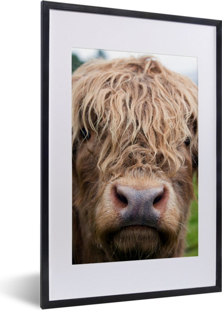 MuchoWow Gerahmtes Poster Schottische Highlander - Gras - Wald 40x60 cm - Poster mit Schwarzem Bilderrahmen Wandposter Rahmen Foto Bilder - Poste...