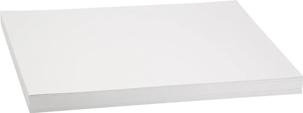 Ramette de Papier Cartonné Blanc A3 250g - 100 Feuilles pour Impression
