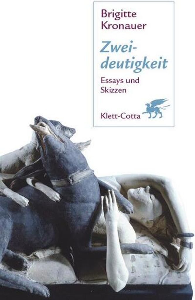 Zweideutigkeit