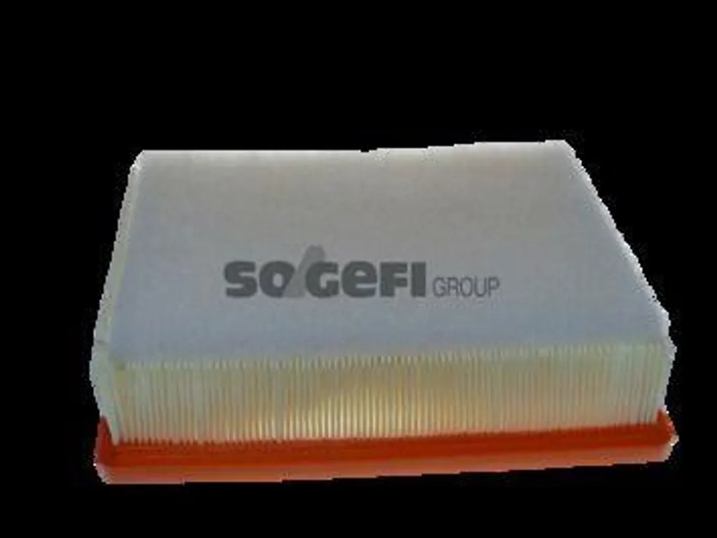 Analisi Tecnica Filtro PURFLUX A1789 OE 6000618816 per Vivaro Trafic