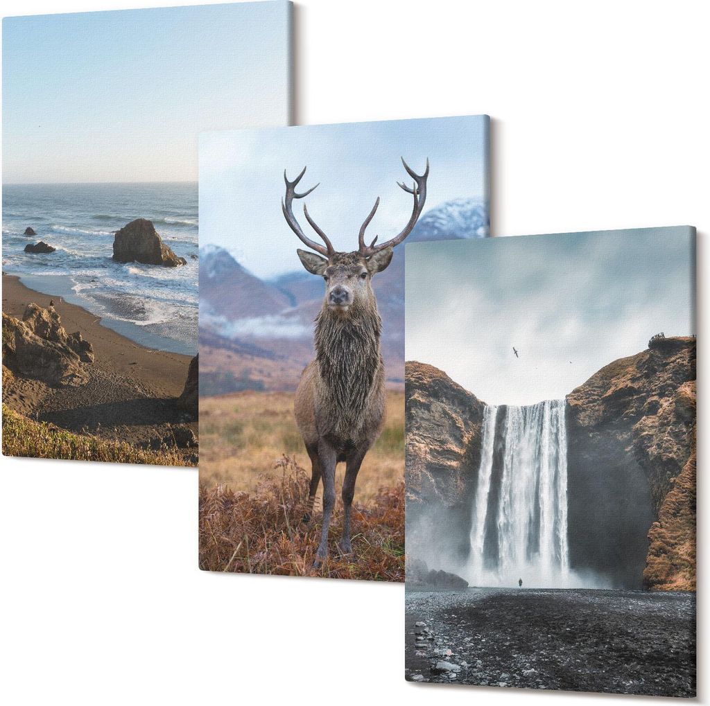Wandbild – Leinwandbild – Leinwandbilder – Polycanvas – Kunstdruck – Modern – Panorama – Mehrteilig – 3-Teilig Set – Hochwertig ...