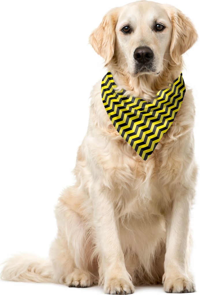 ABAKUHAUS Yellow Chevron Haustier Bandana, Warnschild, 40x40 cm, Schwarz Gelb