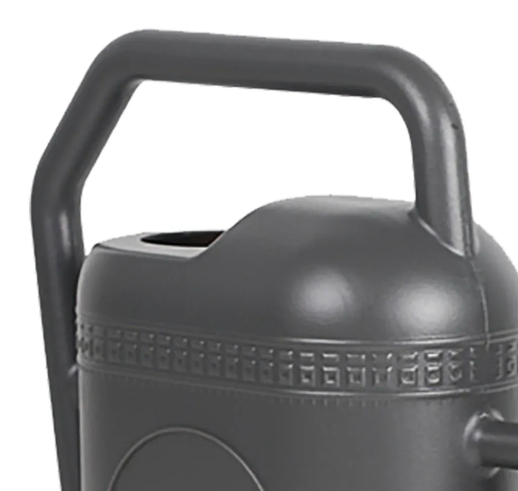 Arrosoir à Bec Long et Pomme de Douche, Capacité 5L, Couleur Grise