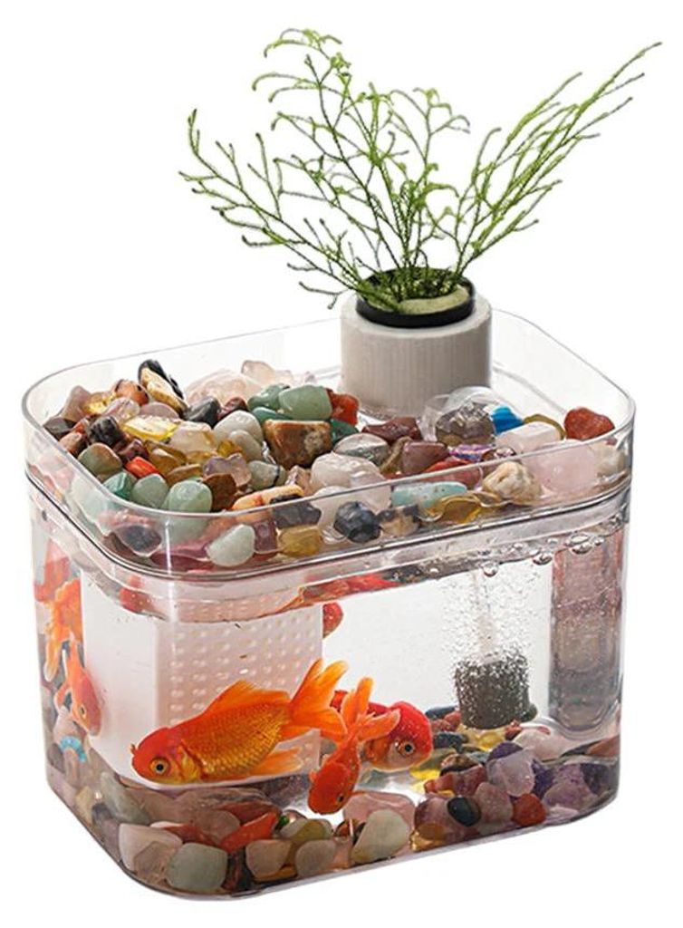 Schreibtisch-Aquarium - Aufzuchtbox - USB-Luftpumpe - Kunststoff - 16×12 cm - Transparent
