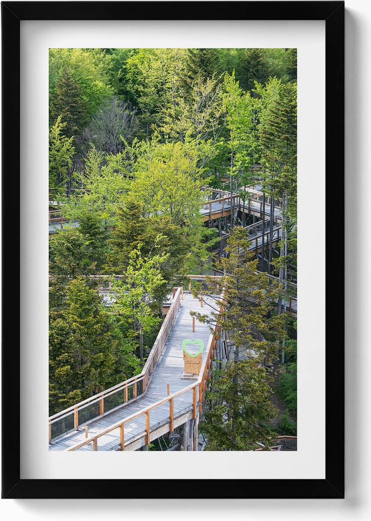 Weg in Krynica Zdrój– Wandbild mit Rahmen – Gerahmtes Bild – Wanddekoration – 40x60 cm – Schwarz