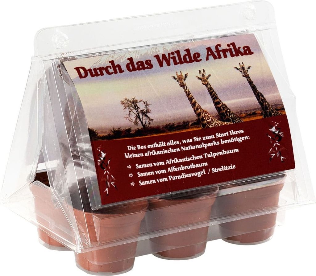 Mini-Gewächshaus - Durch das wilde Afrika - mit Samen vom Tulpenbaum, Affenbrotbaum und Strelitzie