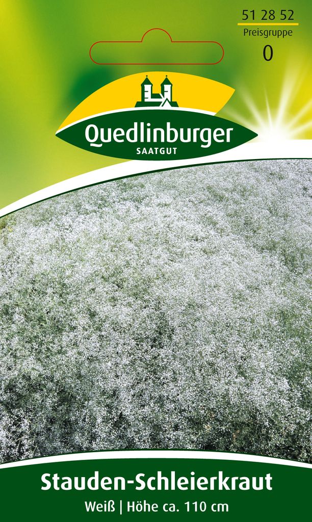 Stauden-Schleierkraut 'Weiss' Quedlinburger Blumensamen