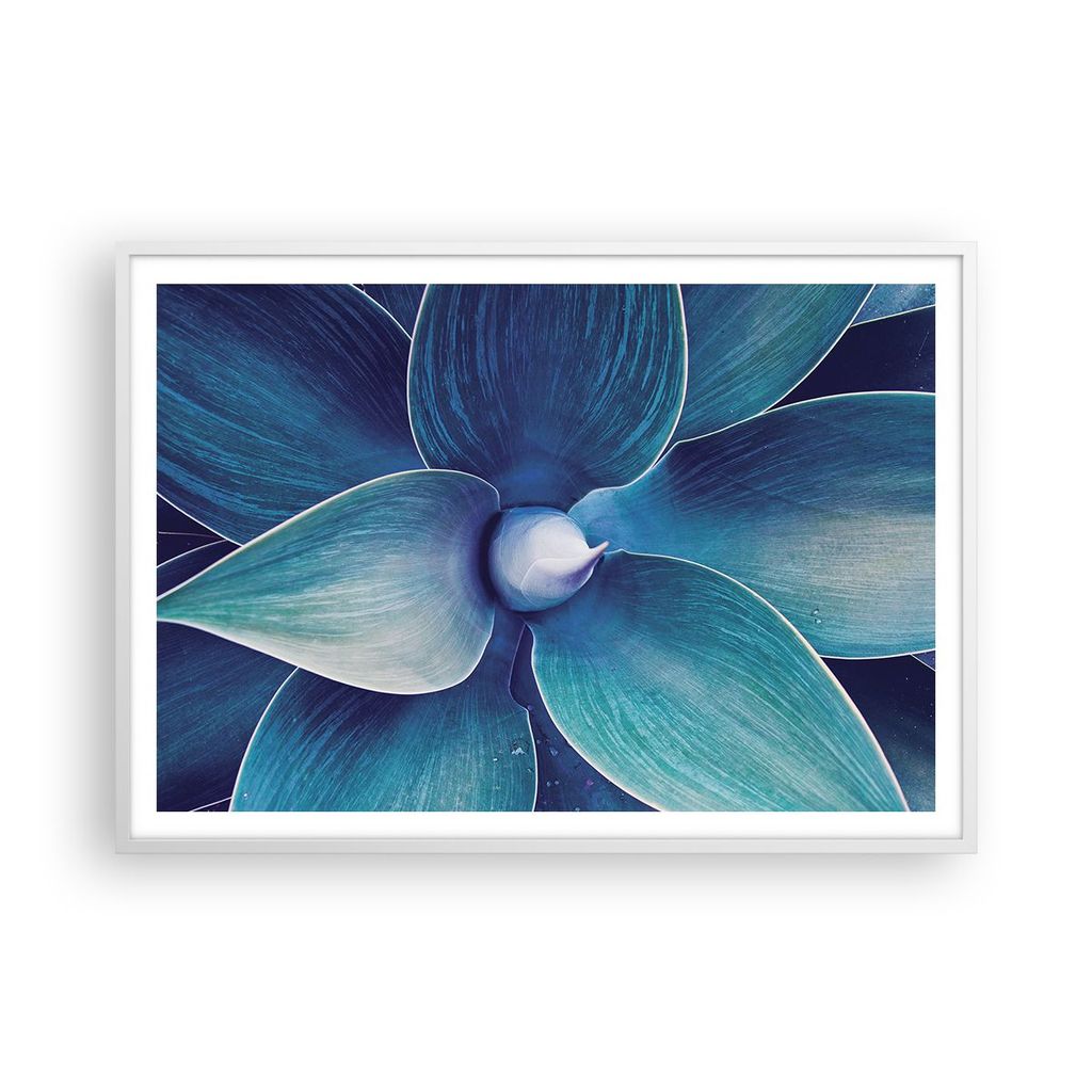 Gerahmtes Poster - Weißer Rahmen - Agave Blau Blume - 100x70 cm - Wand Bild - Wanddeko - Wandbilder - Kunstposter - Wandposter - Bilderrahmen - Bi...