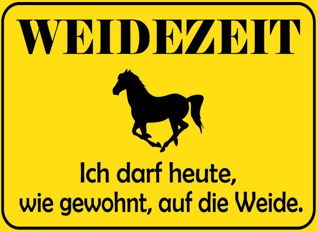 vianmo Holzschild 30x40 cm Weidenzeit Pferd