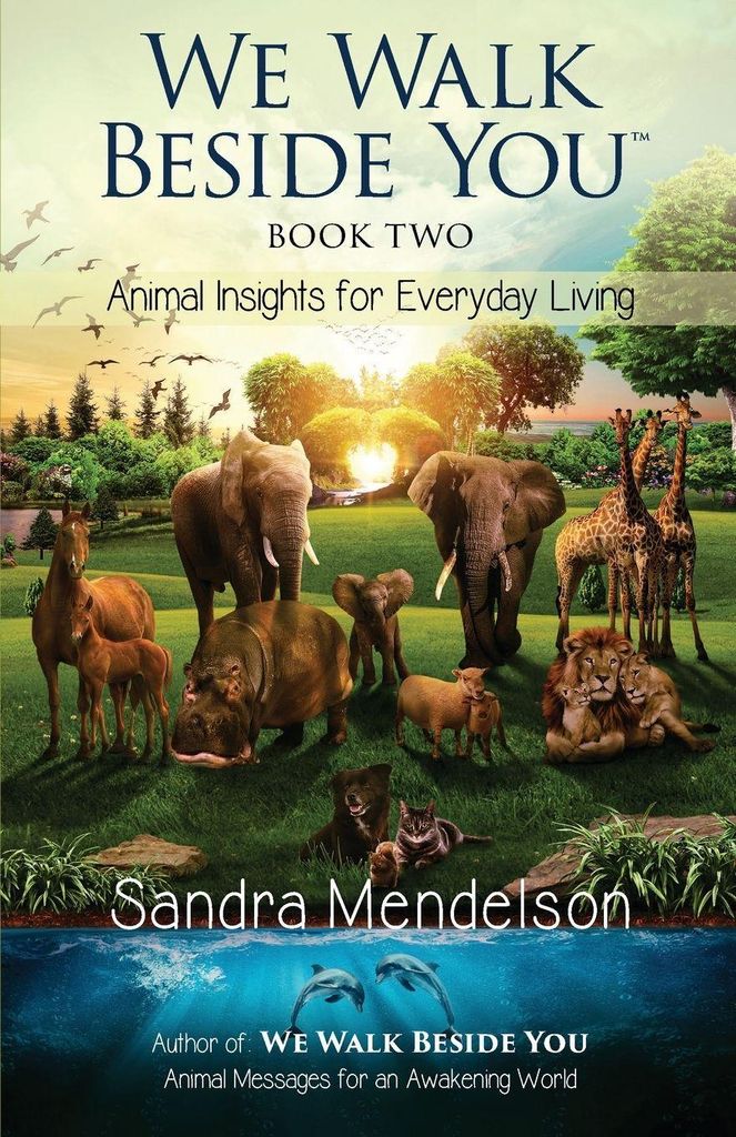 We Walk Beside You Book 2
