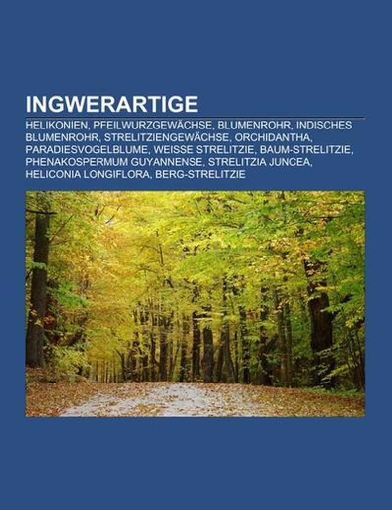 Ingwerartige