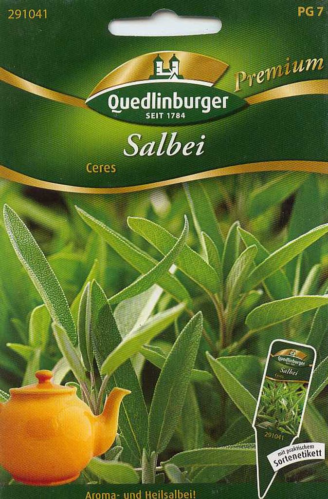 Salbei Ceres | Salbeisamen von Quedlinburger