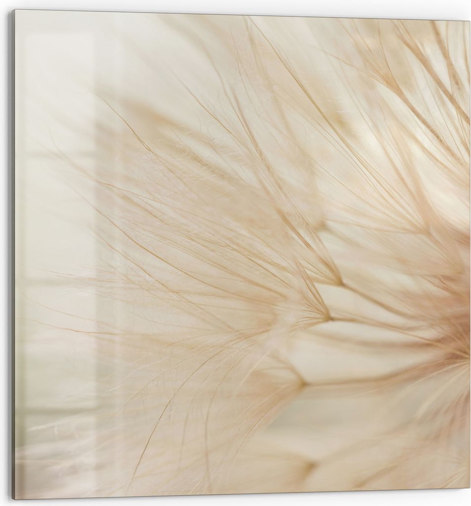 DEQORI Küchenrückwand Glas 60x60 cm 'Zarte Natur' Spritzschutz Bad Rückwand Küche