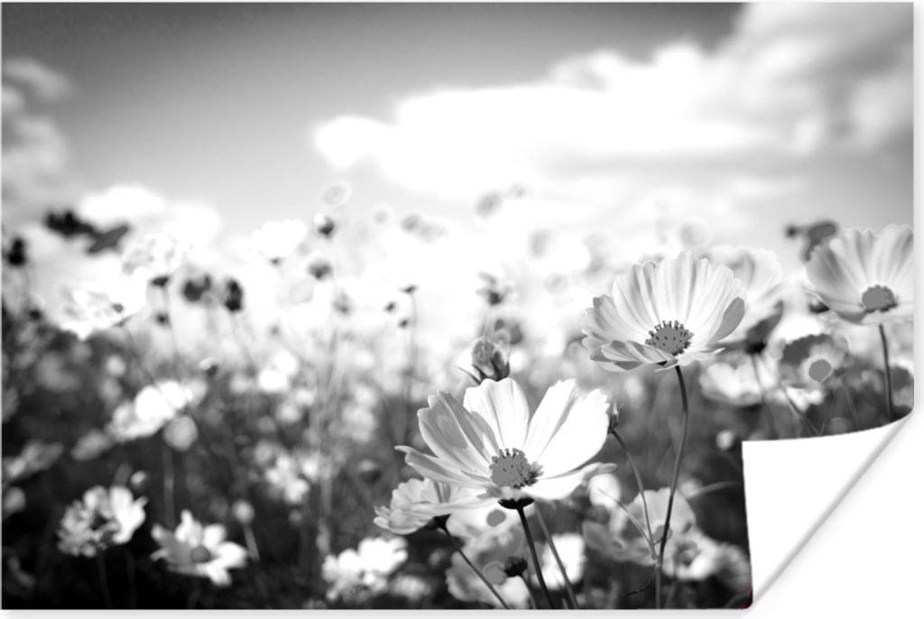 MuchoWow Poster Blumen - Wiese - Lila - Gras - Weiß - Wolken - Blau 60x40 cm - Schlafzimmerdekoration